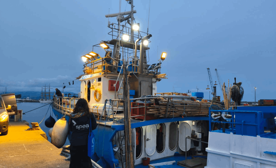 Embarcação Bela Aurora