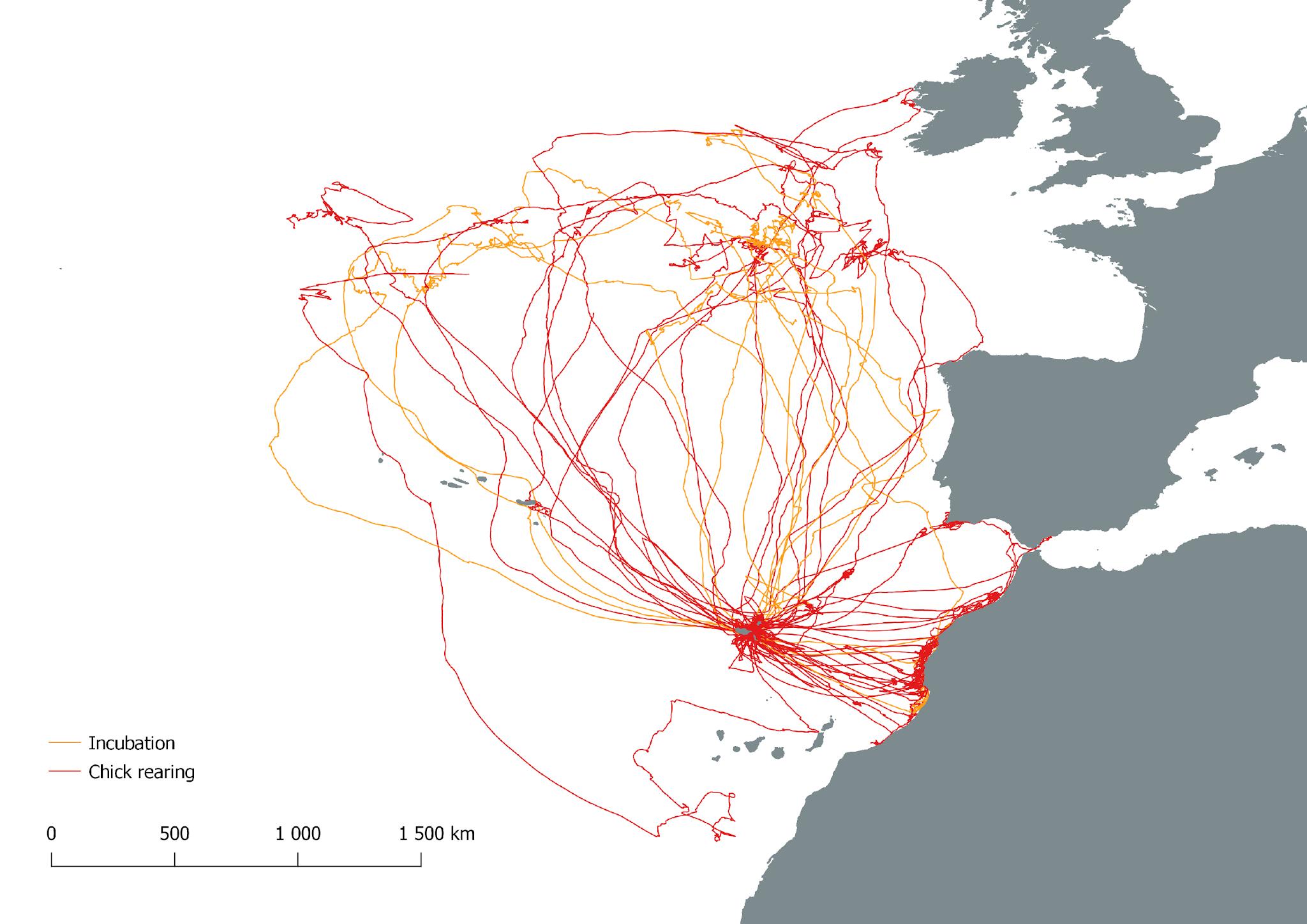 mapa migração cagarras