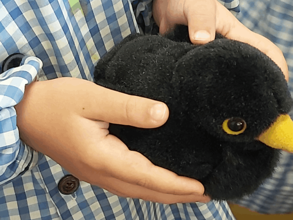 peluche